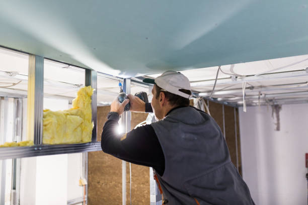 Best Insulation for Specific Applications in Georgiana, AL
