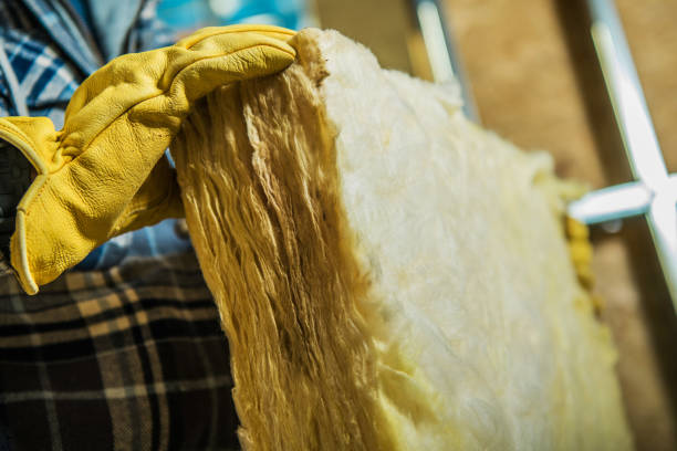 Best Insulation Installation Services in Georgiana, AL