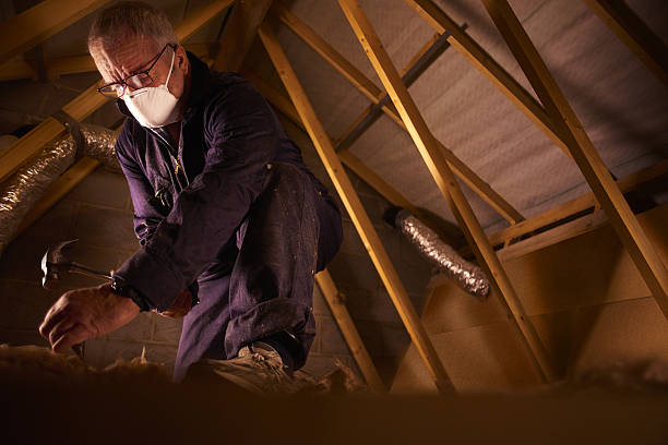 Best Types of Insulation in Georgiana, AL
